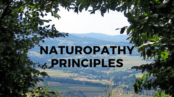Blog banner for Ten Most Important Principles of Naturopathy article.