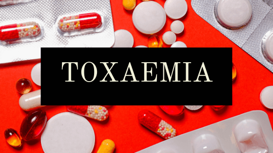 Blog banner for Toxaemia article.