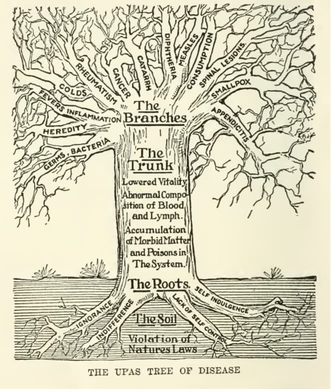 The Upas Tree of Disease according to Naturopathy.